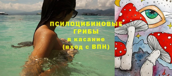 тгк Алексин